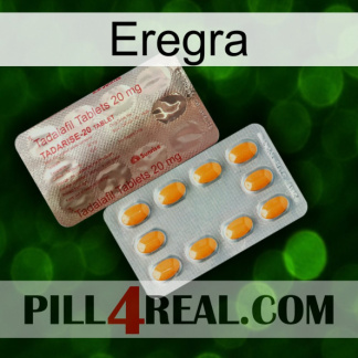 Eregra new13